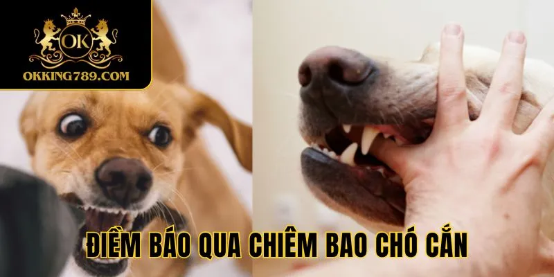 Điềm báo khi mơ thấy chó cắn